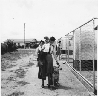 1963 Police Dog Training School Adylynn  Salisbury   F  W Csts Hart and Barker 
