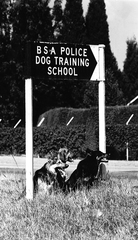 1976 Dog training school.