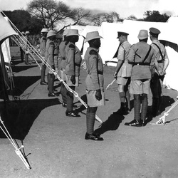 Federal Emergencies
