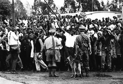 1972 Seke Township