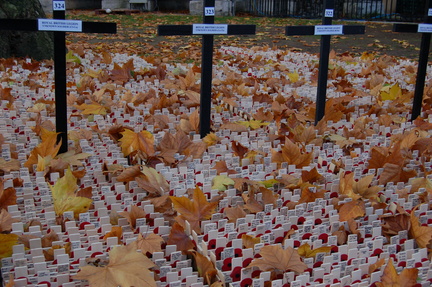 Autumn leaves - Garden of Remembrance