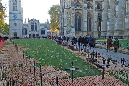Field of Remembrance 