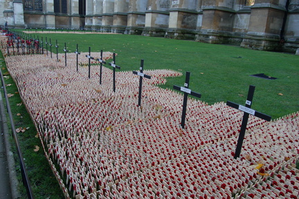 Field of Remembrance 
