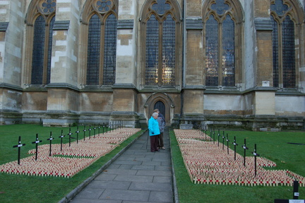 Field of Remembrance 