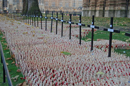Field of Remembrance 