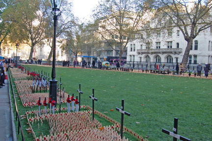 Field of Remembrance 