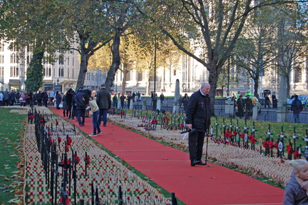 Field of Remembrance 