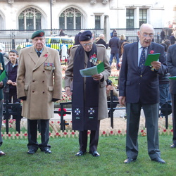 Remembrance Day Parade 2012