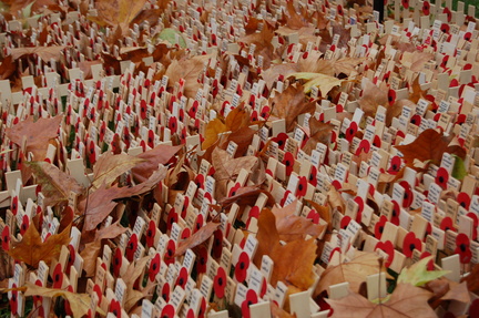 Field of Remembrance 