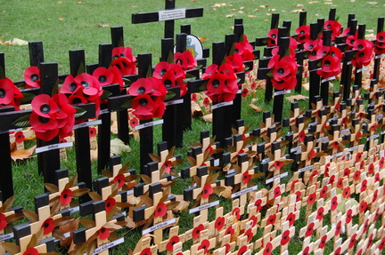 Field of Remembrance  