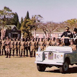Escorts