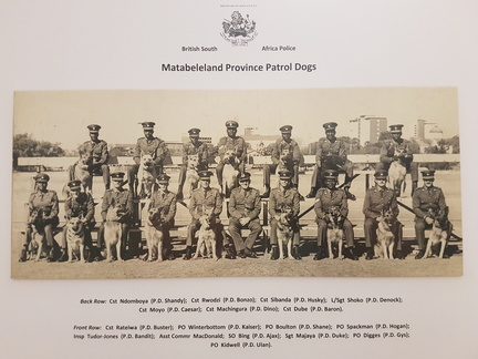Matabeleland Province - Patrol Dogs