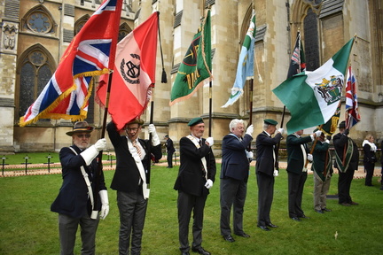 Colour Party 