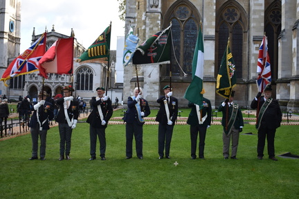 Colour Party 