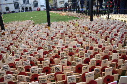Field of Remembrance 