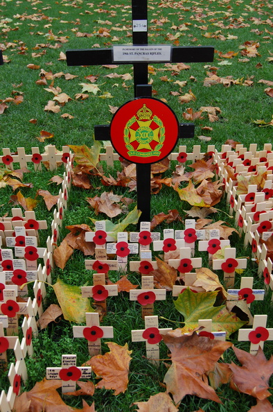 19th London Regiment Plot.JPG