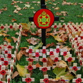 19th London Regiment Plot