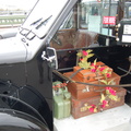 A Poppy Cab