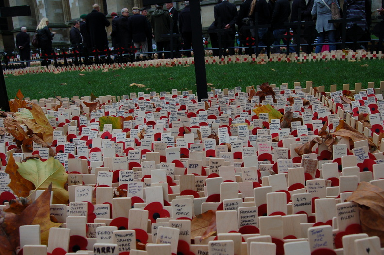 Field of Remembrance 1.JPG