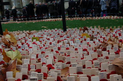 Field of Remembrance 1