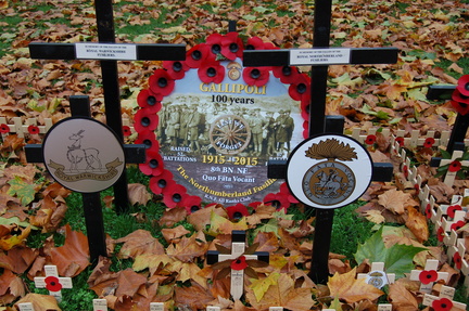 Field of Remembrance 2