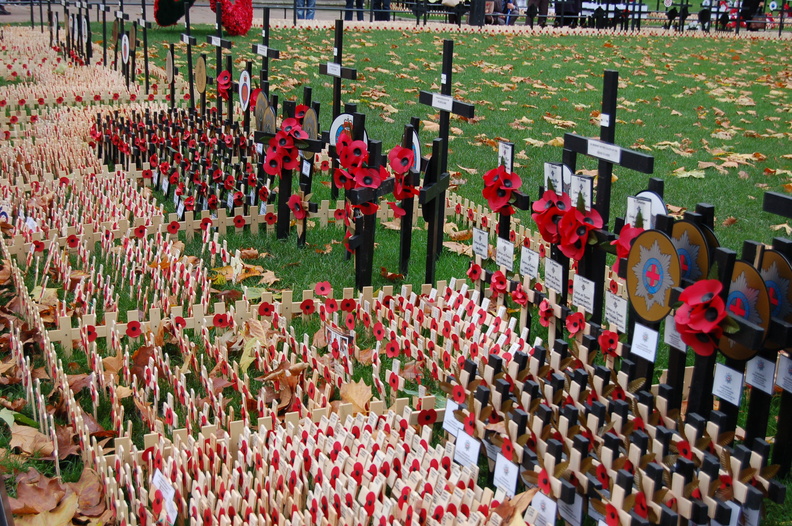 Field of Remembrance 3.JPG