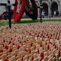 Field of Remembrance