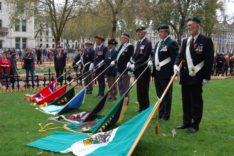 The Colour Party 3.JPG