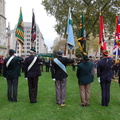 The Colour Party 5
