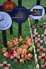 BSAP badge, flame lilys