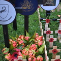 BSAP badge, flame lilys