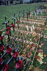 Field of Remembrance 1