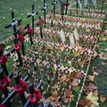 Field of Remembrance 1
