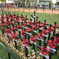 Field of remembrance 2