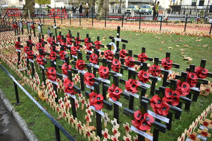 Field of remembrance 2