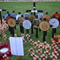 Rhodesia plot